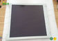 NL8060AC26-26 NLT iPad Ekran LCD Zamiennik LCM 800 × 600 190 Normalnie biały