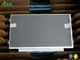 B101AW02 V0 10,1-calowy przemysłowy panel LCD AUO dla konturu 60 Hz 243 × 146,5 × 3,6 mm