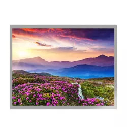 MVA 10,4-calowy wyświetlacz TFT LCD G104X1-L04 Interfejs LVDS Moduł TFT LCD