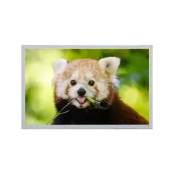 12,1-calowy panel LCD AUO 800 * 600 G121S1-L02 REV C4 / REV C6 Moduł wyświetlacza TFT LCD